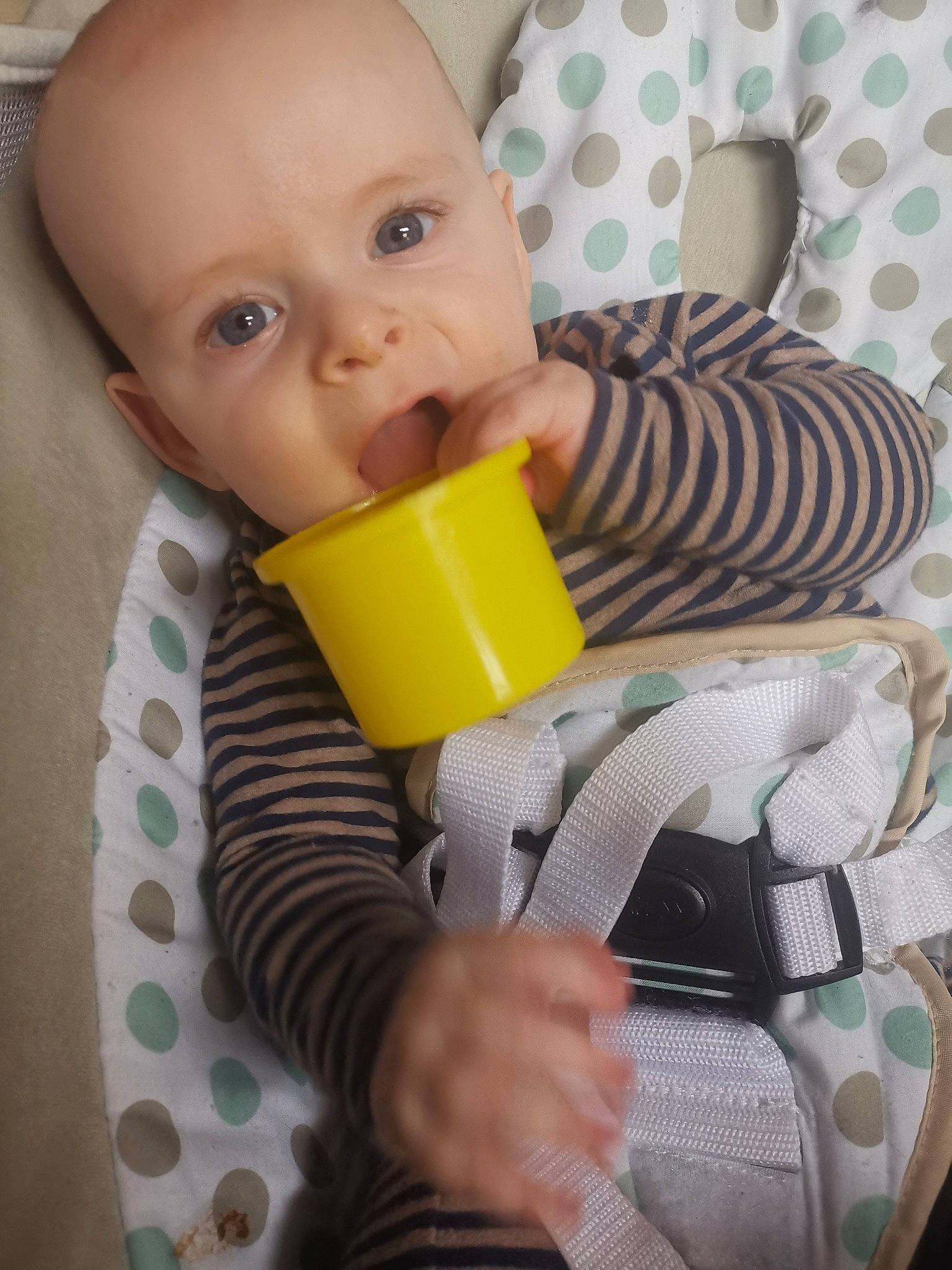 Kay participe au concours pour gagner de l'argent avec cette photo : baby, baby_products, baby_toddler_clothing, cheek, child, comfort, drinkware, eye, eyelash, face, iris, nose, organ, person, product, room, sitting, skin, sleeve, tableware