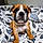 Baxter
