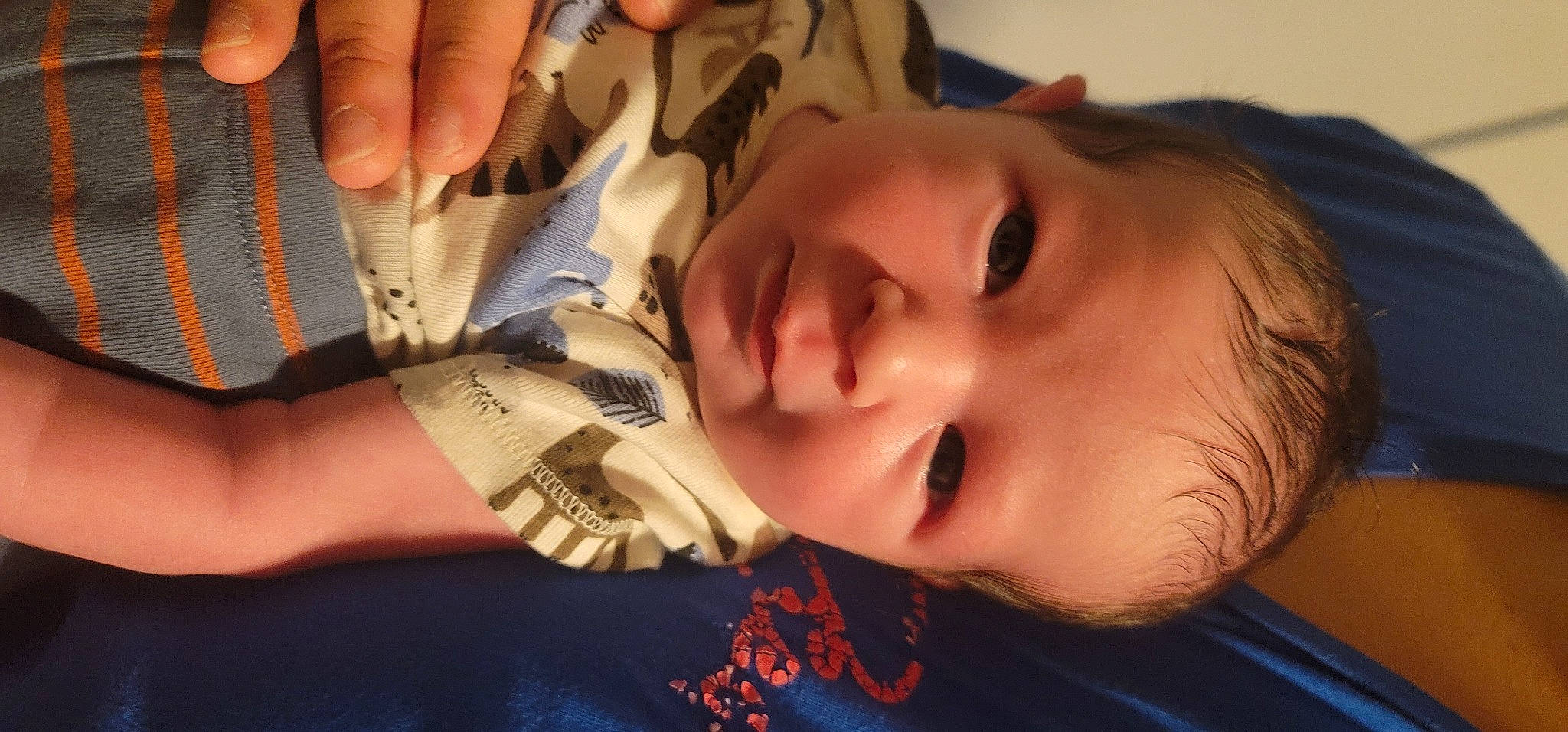 Ziggy joined the competition — help win amazing prizes! cheek, ear, eye, eyebrow, eyelash, finger, forehead, gesture, hairstyle, hand, happy, human_body, iris, lip, mouth, muscle, neck, nose, person, skin