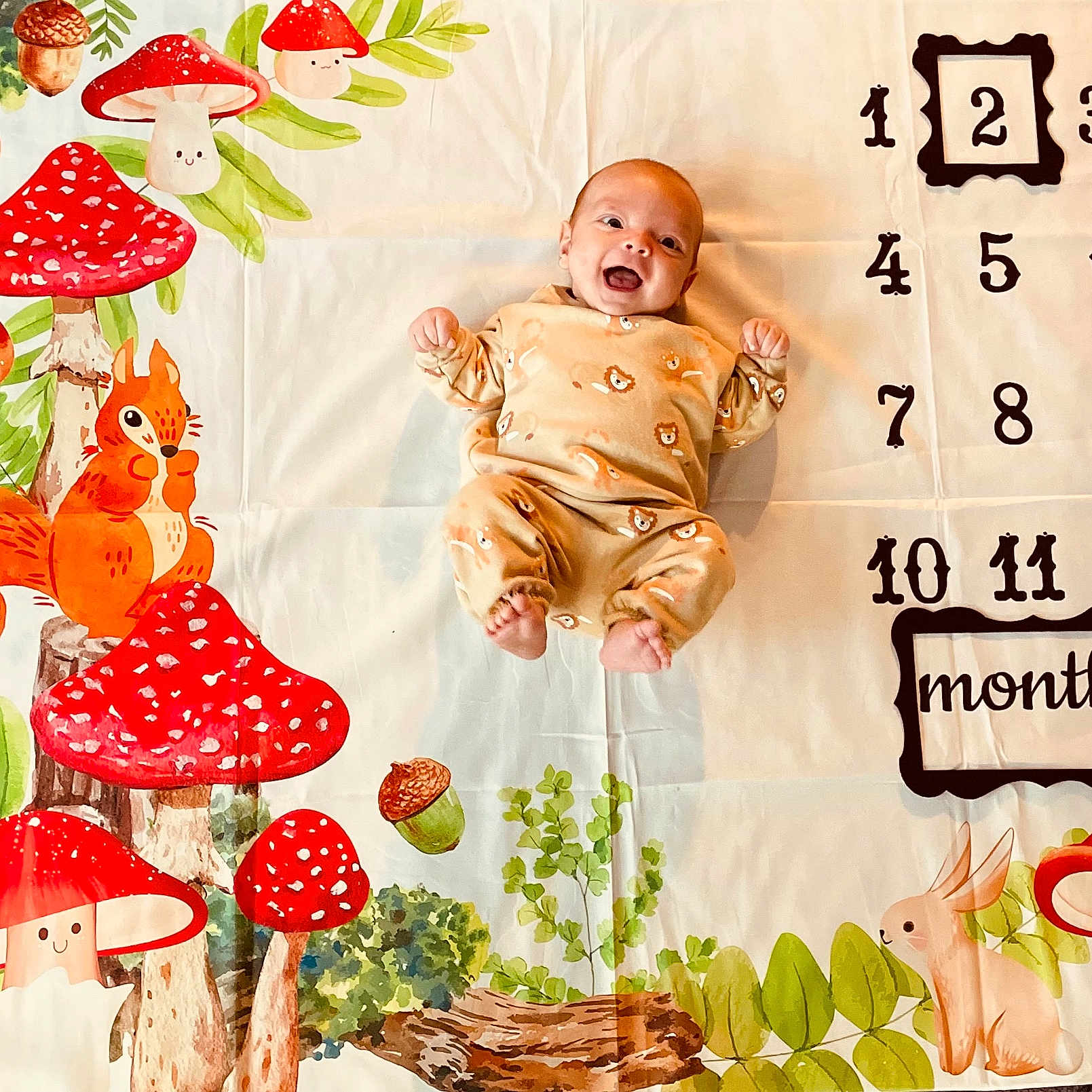 Andrew joined the competition — help win amazing prizes! baby, clothing, dress, face, fungus, furniture, happy, head, leaf, mushroom, newborn, number, pajamas, people, person, photography, plant, portrait, symbol, text