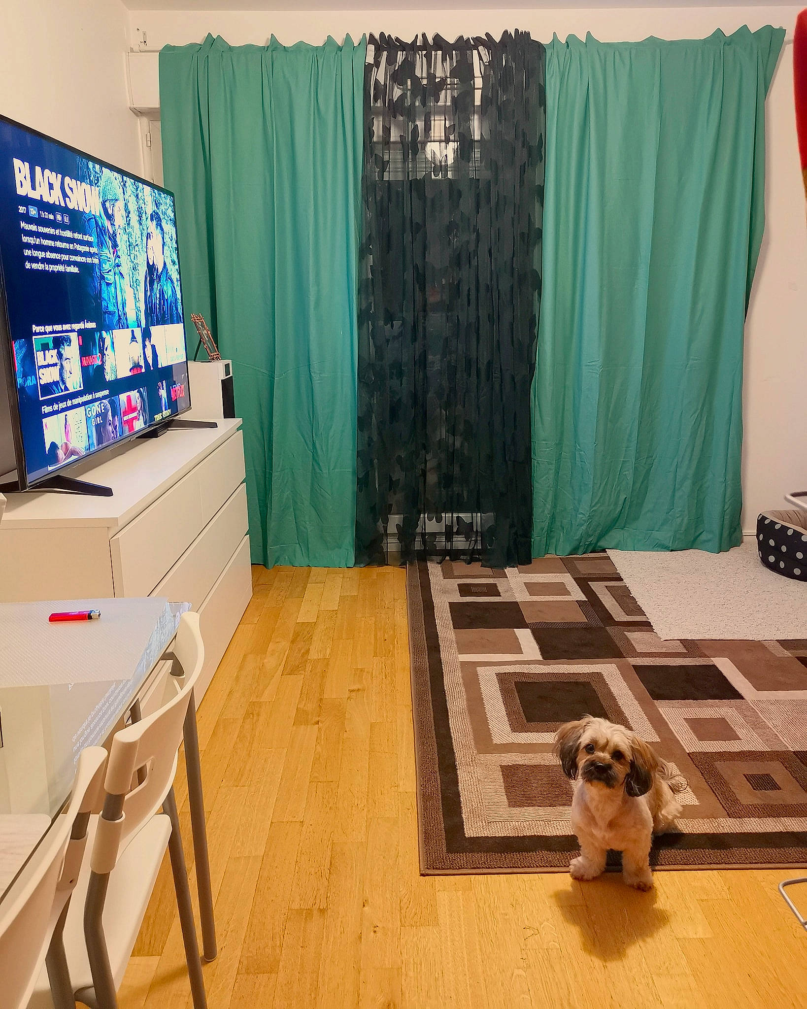 Alma participe au concours pour gagner de l'argent avec cette photo : building, curtain, floor, flooring, furniture, house, interior_design, living_room, room, textile, window_treatment