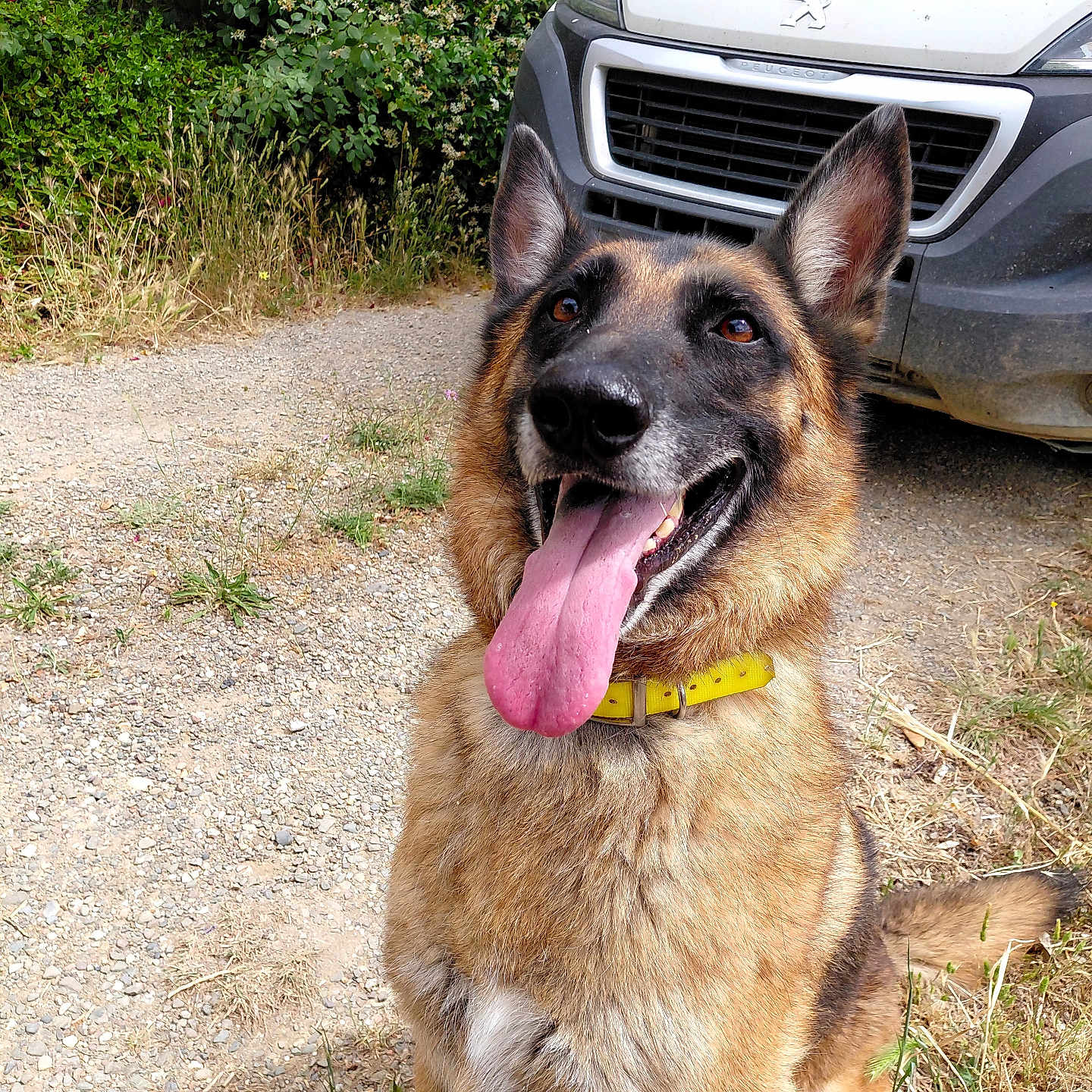 Paco