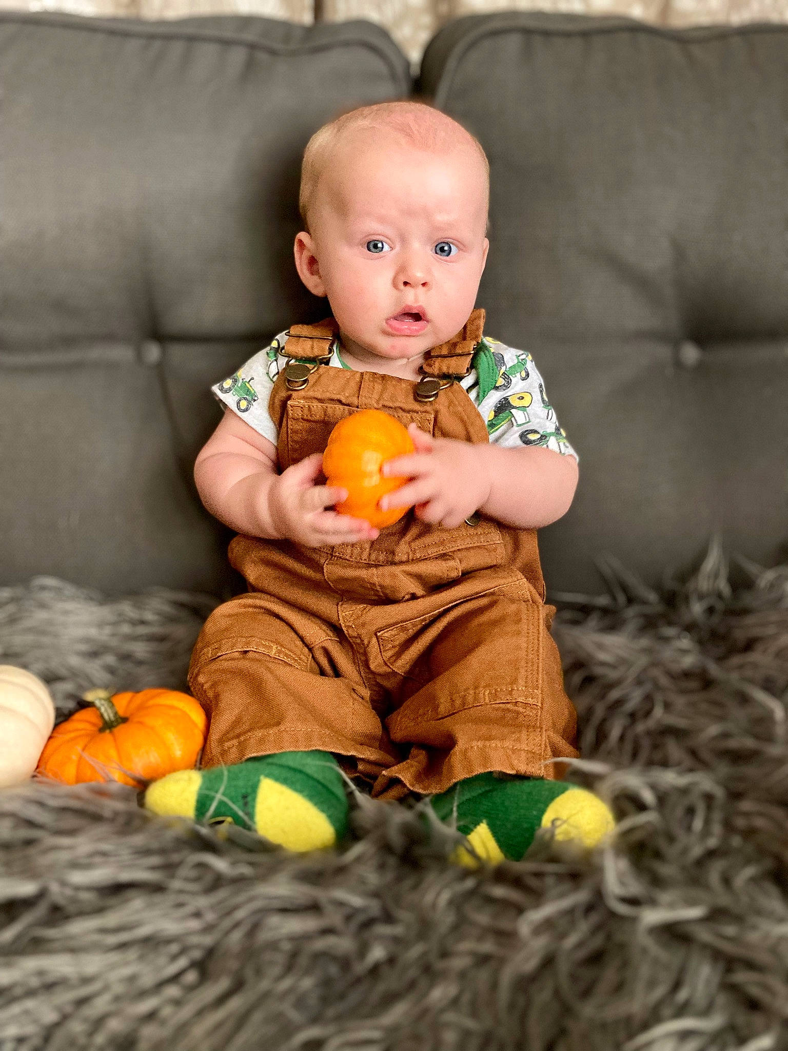 Conrad joined the competition — help win amazing prizes! baby, calabaza, child, comfort, couch, cucurbita, dress, fruit, fun, gourd, happy, orange, person, plant, pumpkin, snapshot, squash, surprise, toddler, toy