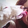 dog, white_dog, pet, licking, tongue, person, smile, face, close_up, affection, interaction, happy, fur, cheek, collar, domestic_animal, friendship, love, playful, companion