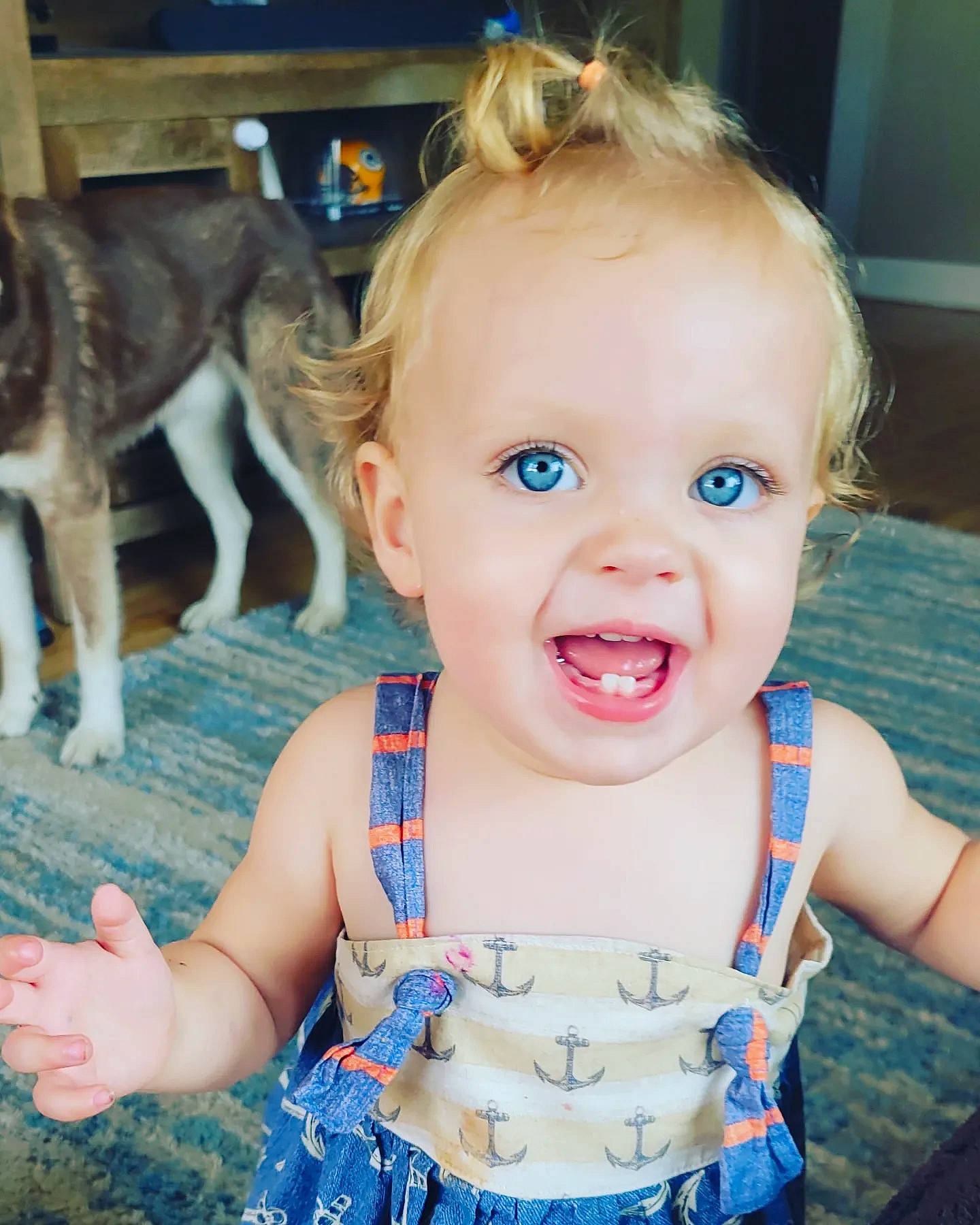 Olivia joined the competition — help win amazing prizes! baby_toddler_clothing, blue, carnivore, cheek, child, companion_dog, dog_breed, fun, happy, iris, nose, organ, people, person, photograph, skin, smile, standing, t_shirt, toddler