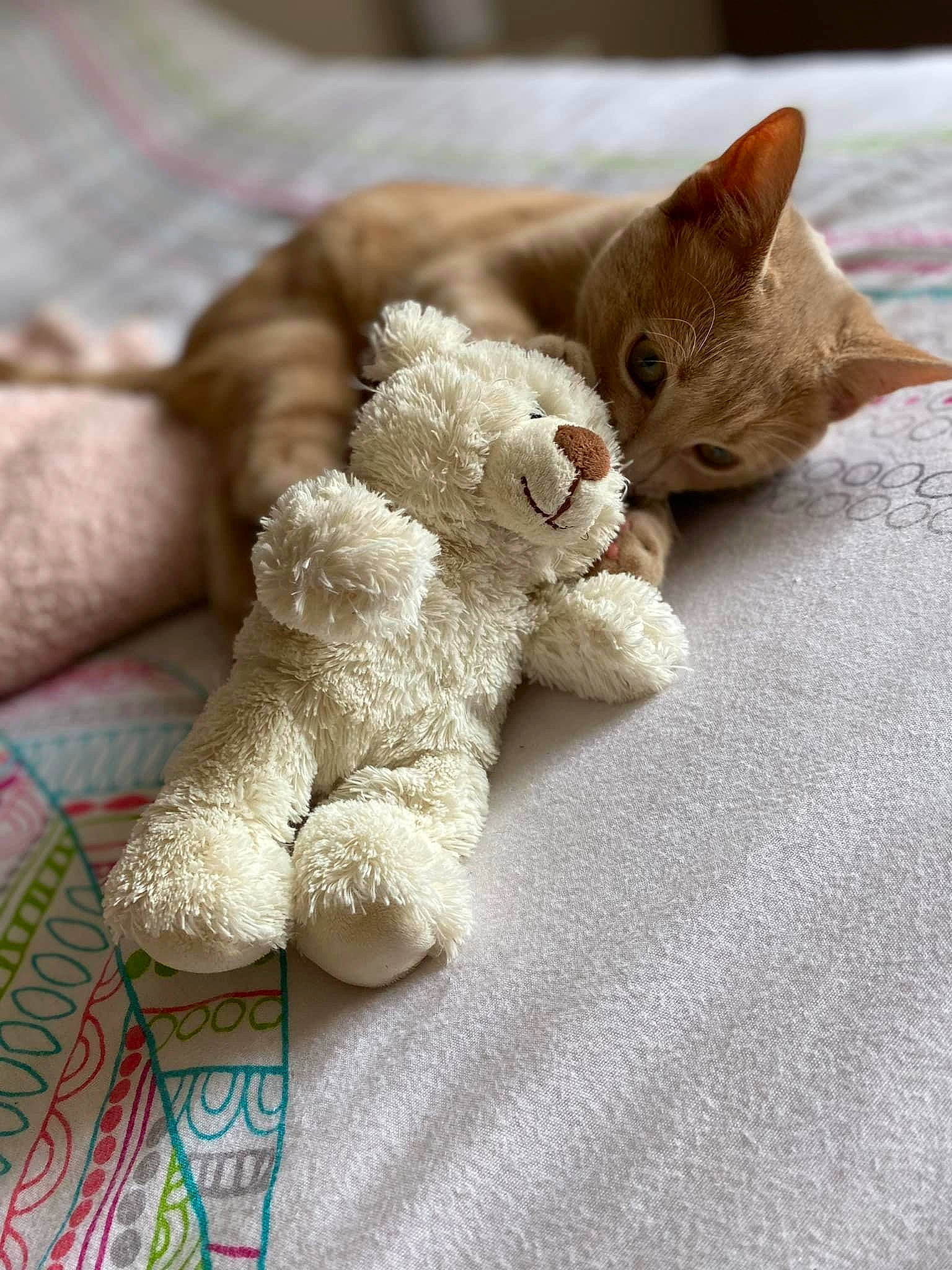Salto participe au concours pour gagner de l'argent avec cette photo : art, carnivore, cat, claw, comfort, creative_arts, domestic_short_haired_cat, fawn, felidae, fur, grey, linens, paw, small_to_medium_sized_cats, stuffed_toy, tail, terrestrial_animal, toy, whiskers, wood