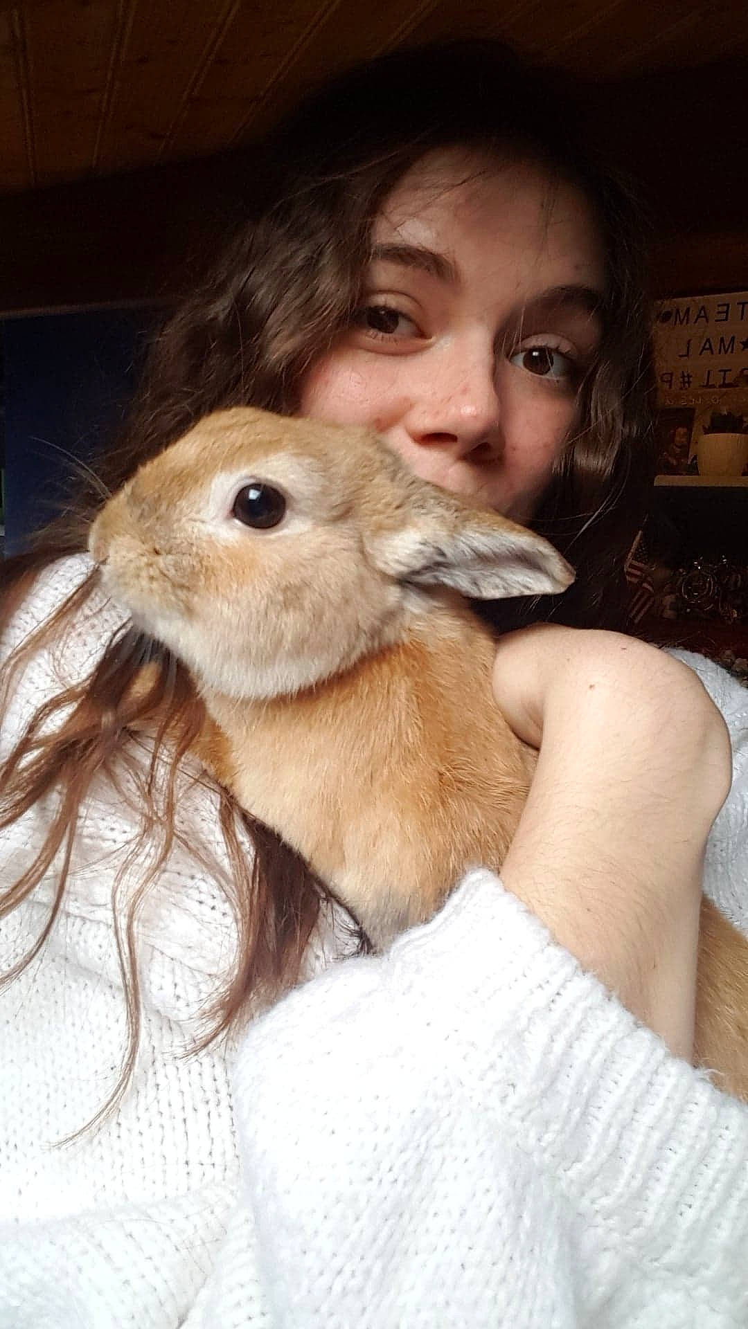 Ramsès participe au concours pour gagner de l'argent avec cette photo : beige, blond, brown, brown_hair, domestic_rabbit, fawn, fur, hare, human, iris, nail, organ, rabbit, rabbits_and_hares, skin, snout, terrestrial_animal, vertebrate, whiskers