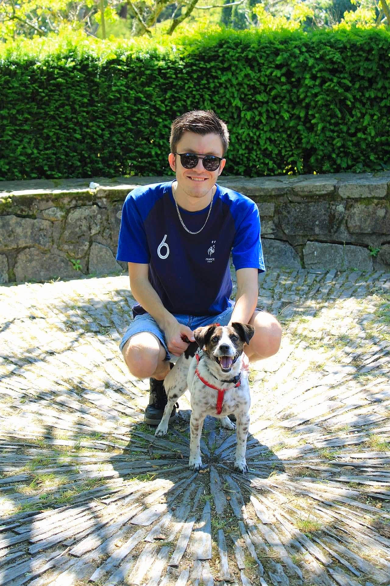 Gina a rejoint le concours — aidez-le/la à gagner de superbes lots ! canidae, carnivore, companion_dog, dog, dog_breed, eyewear, goggles, hedge, mammal, sneakers, sporting_group, sunglasses, t_shirt, vision_care, working_animal