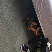 Kona joined the competition — help win amazing prizes! asphalt, ceiling, cement, concrete, elbow, flooring, fun, human_leg, recreation, road_surface, room, shadow, space, wood