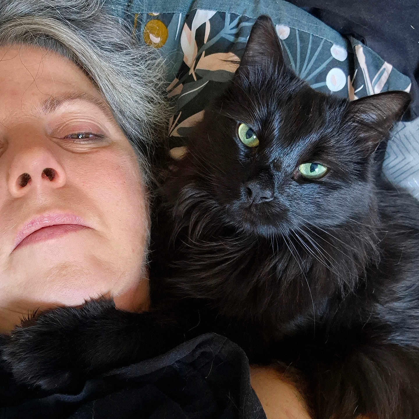 Natzu participe au concours pour gagner de l'argent avec cette photo : animal, bed, black_cat, blanket, cat, close_up, cozy, feline, fur, green_eyes, human_face, indoor, lying_down, person, pet, pillow, portrait, relaxed, resting, whiskers