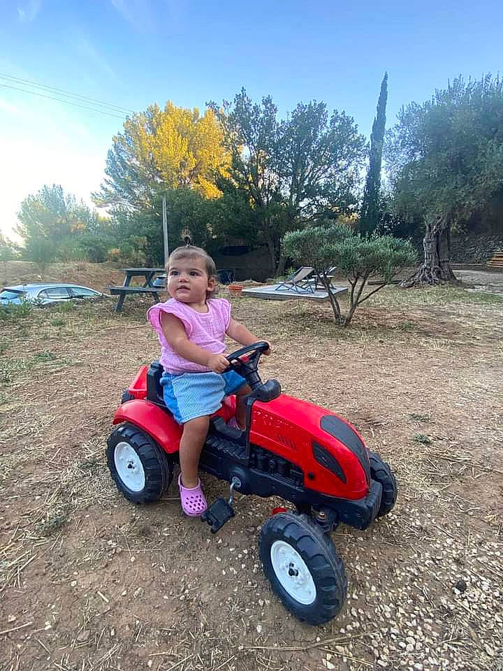 Alina participe au concours pour gagner de l'argent avec cette photo : automotive_tire, automotive_wheel_system, bicycle_accessory, fender, grass, landscape, leisure, motor_vehicle, nature, person, plant, recreation, riding_toy, sky, spoke, tire, toddler, tread, tree, vehicle
