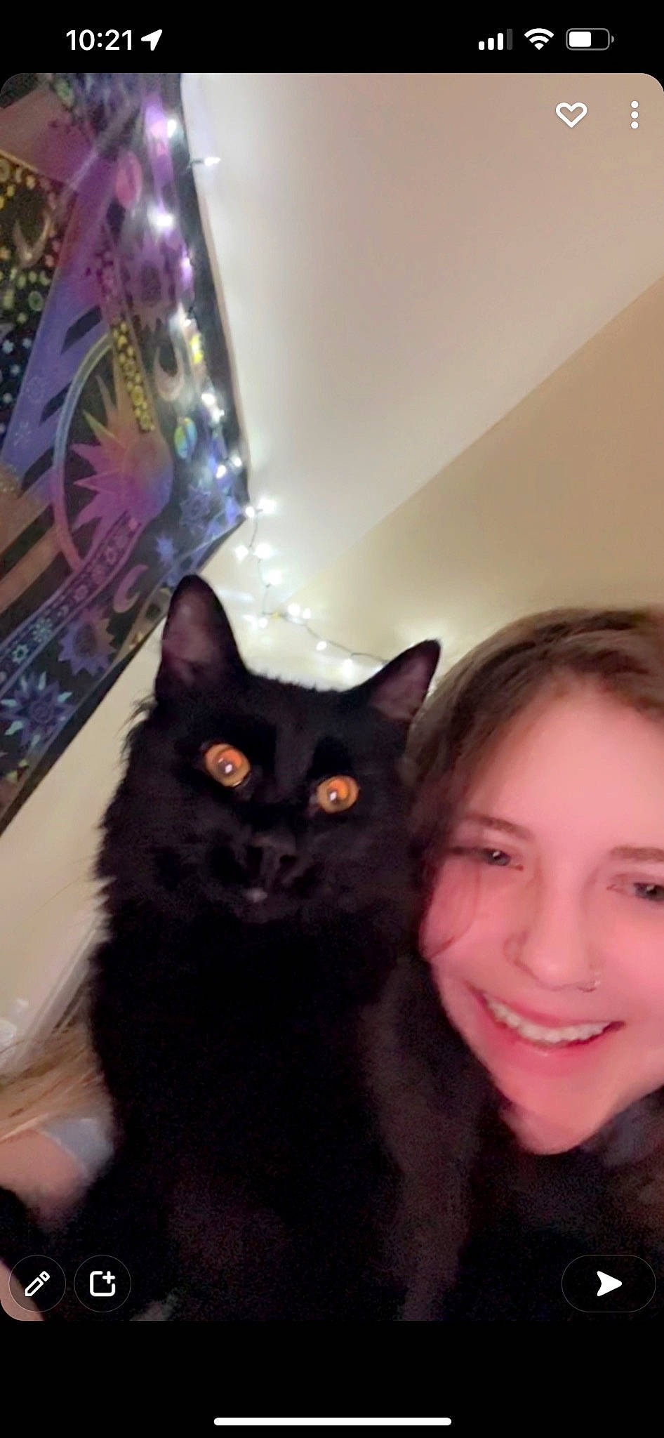 Shadow joined the competition — help win amazing prizes! black_cat, carnivore, cat, domestic_short_haired_cat, ear, eye, felidae, formal_wear, fur, happy, head, iris, magenta, purple, selfie, sitting, small_to_medium_sized_cats, smile, tail, whiskers