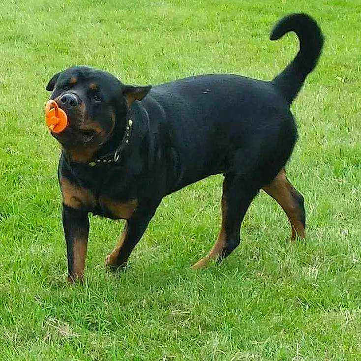 Ben is registered to the contest to win money with this photo: