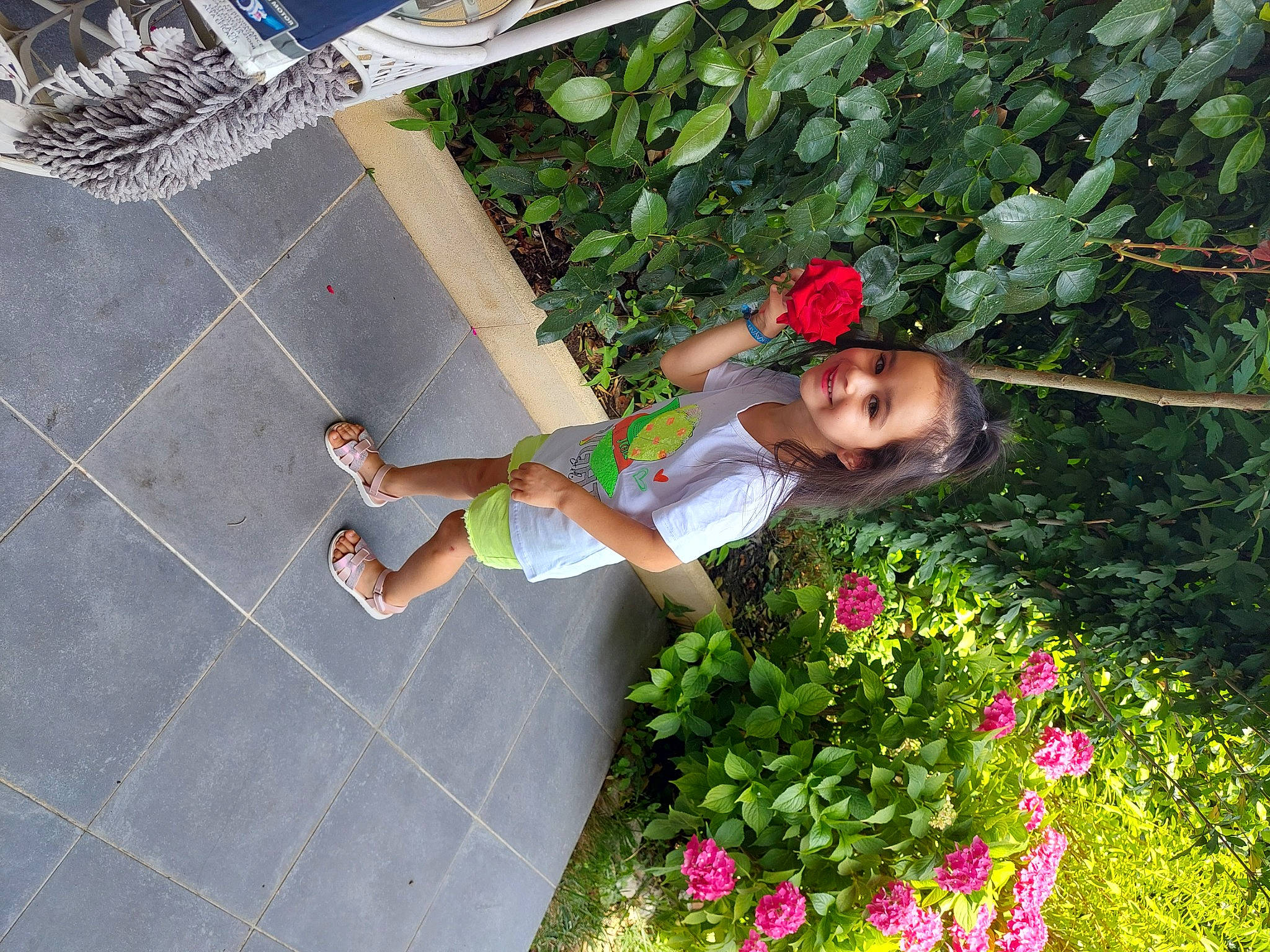 Naïla a rejoint le concours — aidez-le/la à gagner de superbes lots ! flower, fun, grass, green, groundcover, happy, hat, human_leg, joy, leisure, people_in_nature, person, plant, recreation, sandal, shorts, shrub, sidewalk, smile, sunglasses