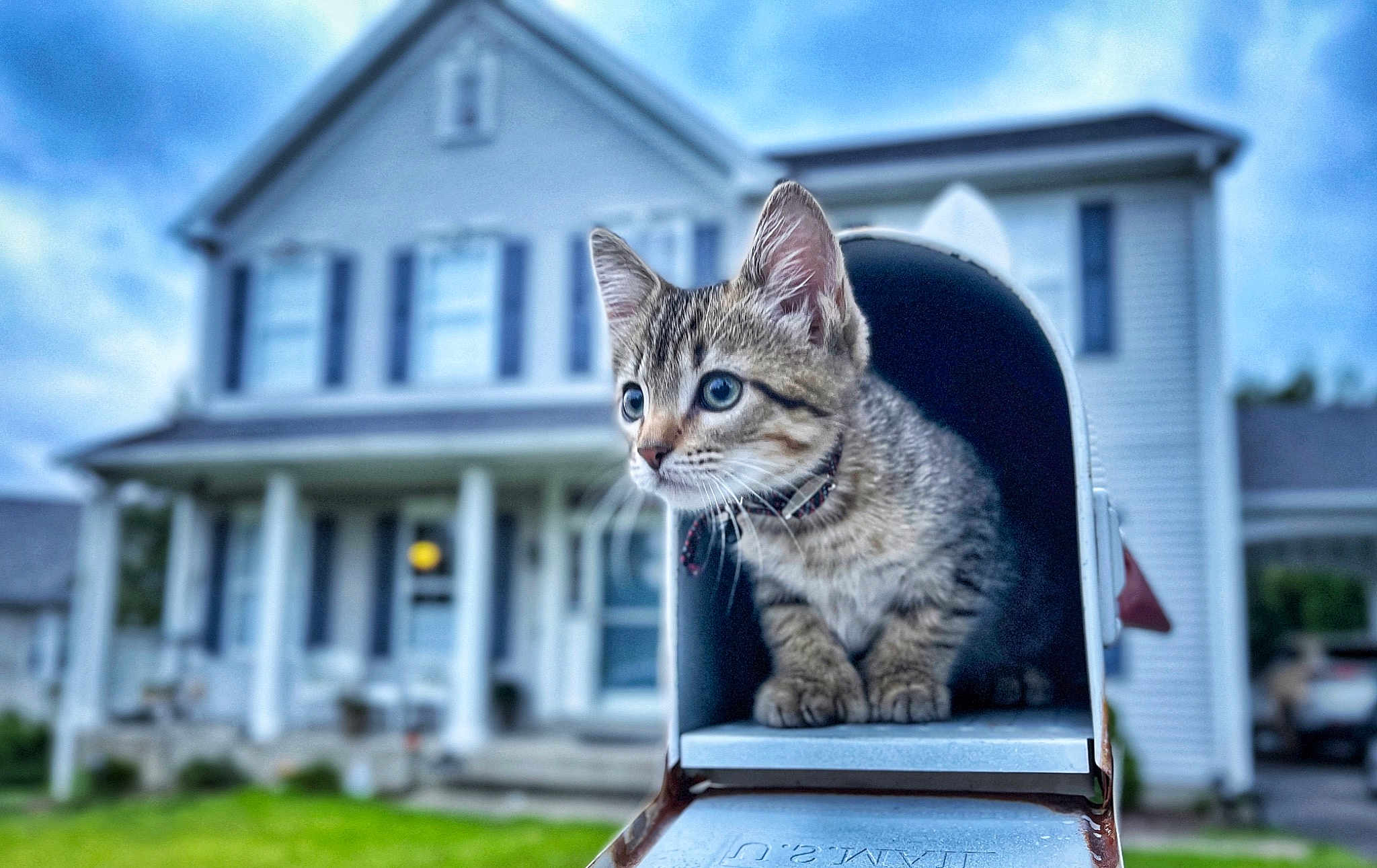 Simba