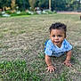 Kaïs participe au concours pour gagner de l'argent avec cette photo : baby, blue_shirt, casual_clothing, child, crawling, curly_hair, daylight, face, grass, greenery, happy, head, nature, outdoor, park, person, playful, smiling, toddler, young_child