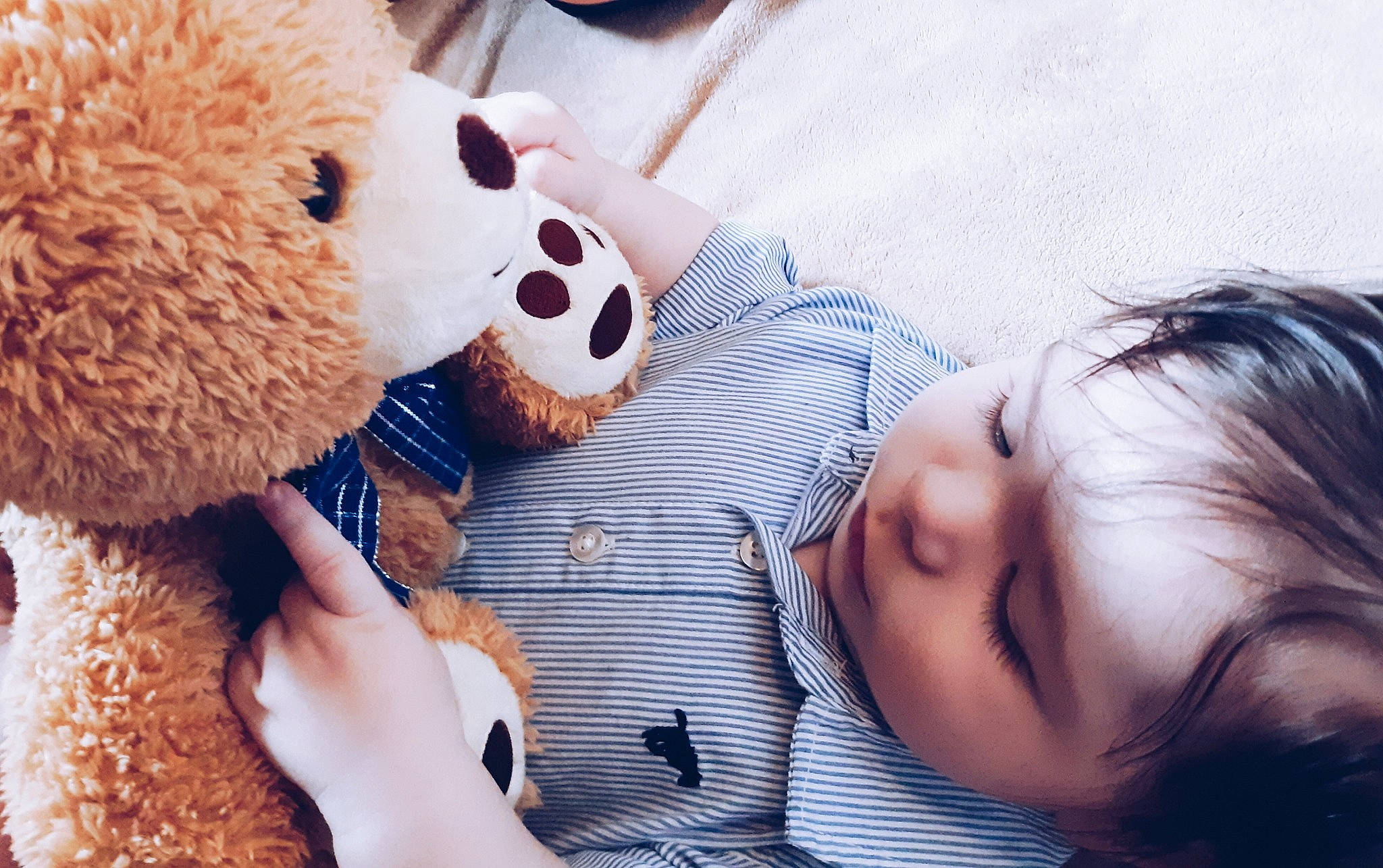 Zane joined the competition — help win amazing prizes! beauty, child, ear, hand, happy, love, nose, person, photography, plush, puppy_love, selfie, skin, smile, snout, stuffed_toy, teddy_bear, textile, toddler, toy