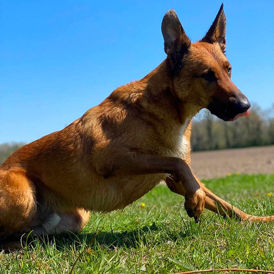 Max