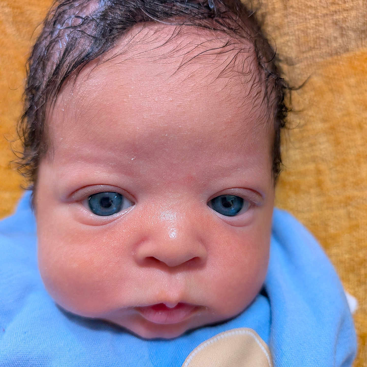 Jazztel joined the competition — help win amazing prizes! baby, baby_garment, background, blue_eyes, child, close_up, clothing, cute, expression, face, head, infant, newborn, onesie, person, portrait, skin, soft, texture, wet_hair