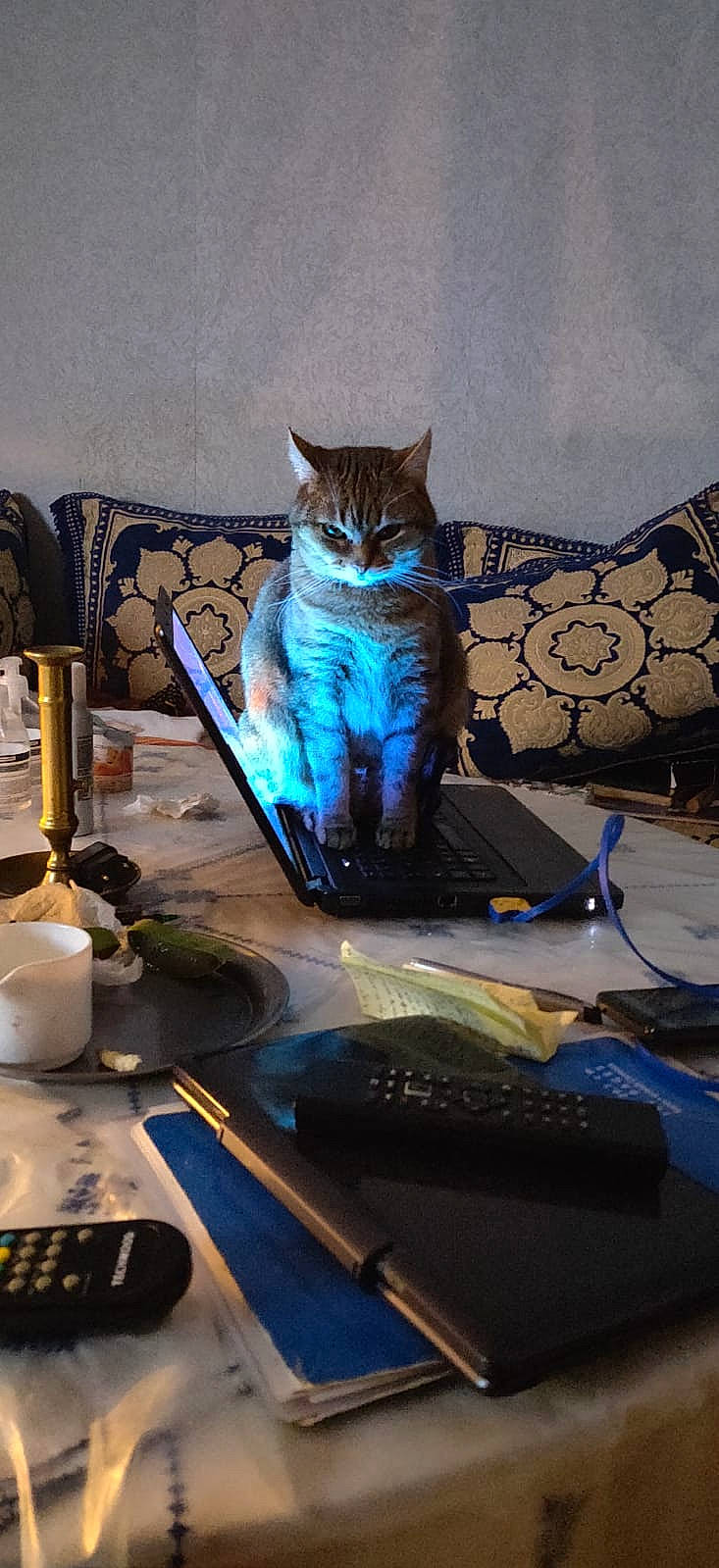 Sue Ellen participe au concours pour gagner de l'argent avec cette photo : art, carnivore, cat, darkness, domestic_short_haired_cat, electric_blue, felidae, fur, gadget, glass, machine, remote_control, room, small_to_medium_sized_cats, still_life_photography, tail, visual_arts, whiskers, wire