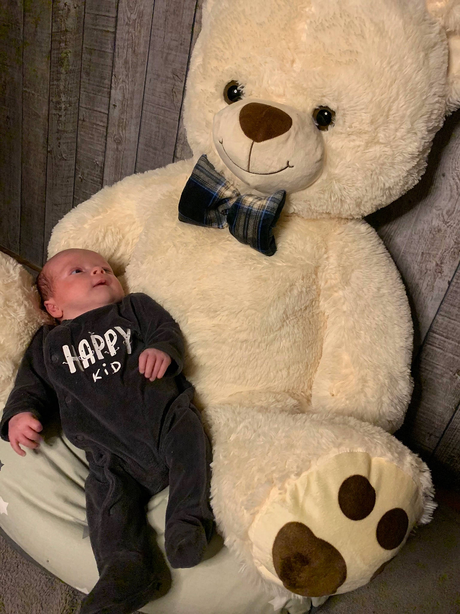 Cayden participe au concours pour gagner de l'argent avec cette photo : ball, bear, black, carnivore, comfort, football, fur, happy, mammal, nose, organ, person, plush, snout, stuffed_toy, teddy_bear, textile, toy, vertebrate, white