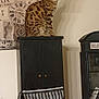 bag, brown_cat, cabinet, cat, clock, cloth, decor, furniture, household_items, indoor, knobs, poster, shadow, sitting, spotted_cat, striped_bag, telephone_cabinet, vintage, wall, wooden_dresser