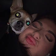 Luna a rejoint le concours — aidez-le/la à gagner de superbes lots ! dog, person, face, closeup, dark, flash, eyes, cute, snuggle, nose_ring, pout, pet, animal, head, portrait, indoors, love, expression, earbuds, companion