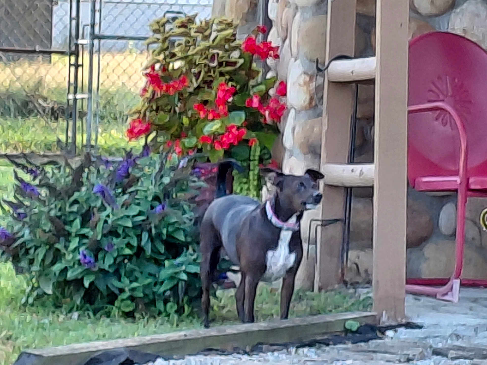 Coco