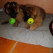 Jessy a rejoint le concours — aidez-le/la à gagner de superbes lots !