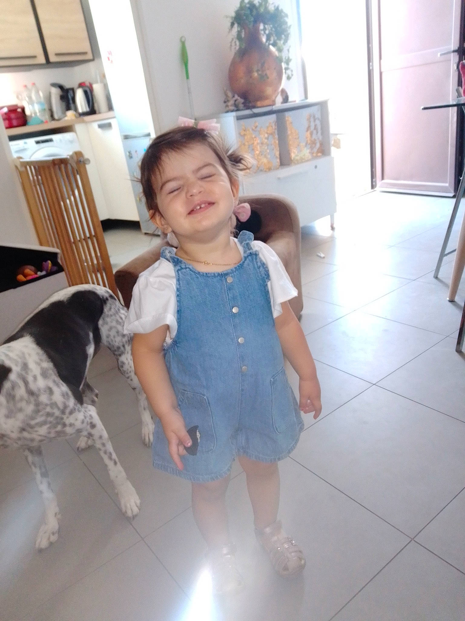 Freyja participe au concours pour gagner de l'argent avec cette photo : baby, baby_toddler_clothing, child, companion_dog, dog, face, floor, flooring, fun, happy, hardwood, houseplant, joy, person, picture_frame, plant, room, shoulder, skin, sleeve