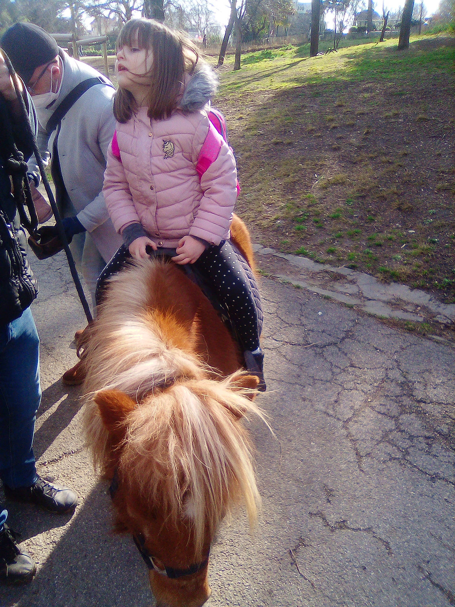 Oxana a rejoint le concours — aidez-le/la à gagner de superbes lots ! bridle, companion_dog, dog_breed, fawn, horse, horse_supplies, horse_tack, leash, liver, livestock, luggage_and_bags, mane, pack_animal, person, plant, shetland_pony, shoe, snout, sorrel, tree