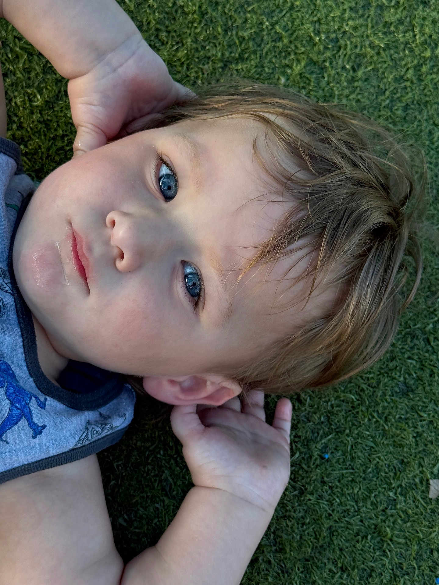 Dallas is registered to the contest to win money with this photo: toddler, child, face, blue_eyes, grass, outdoor, hands, hair, tank_top, dinosaur, casual_clothing, skin, portrait, young_child, expression, laying_down, nature, daylight, close_up, cute
