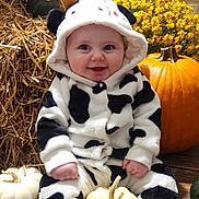 Lakely is registered to the contest to win money with this photo: autumn, baby, black_and_white, child, costume, cow_pattern, cute, festive, flowers, happy, hay, hooded_outfit, orange, portrait, pumpkin, seasonal, sitting, smile, white_pumpkin, yellow