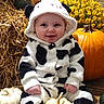autumn, baby, black_and_white, child, costume, cow_pattern, cute, festive, flowers, happy, hay, hooded_outfit, orange, portrait, pumpkin, seasonal, sitting, smile, white_pumpkin, yellow