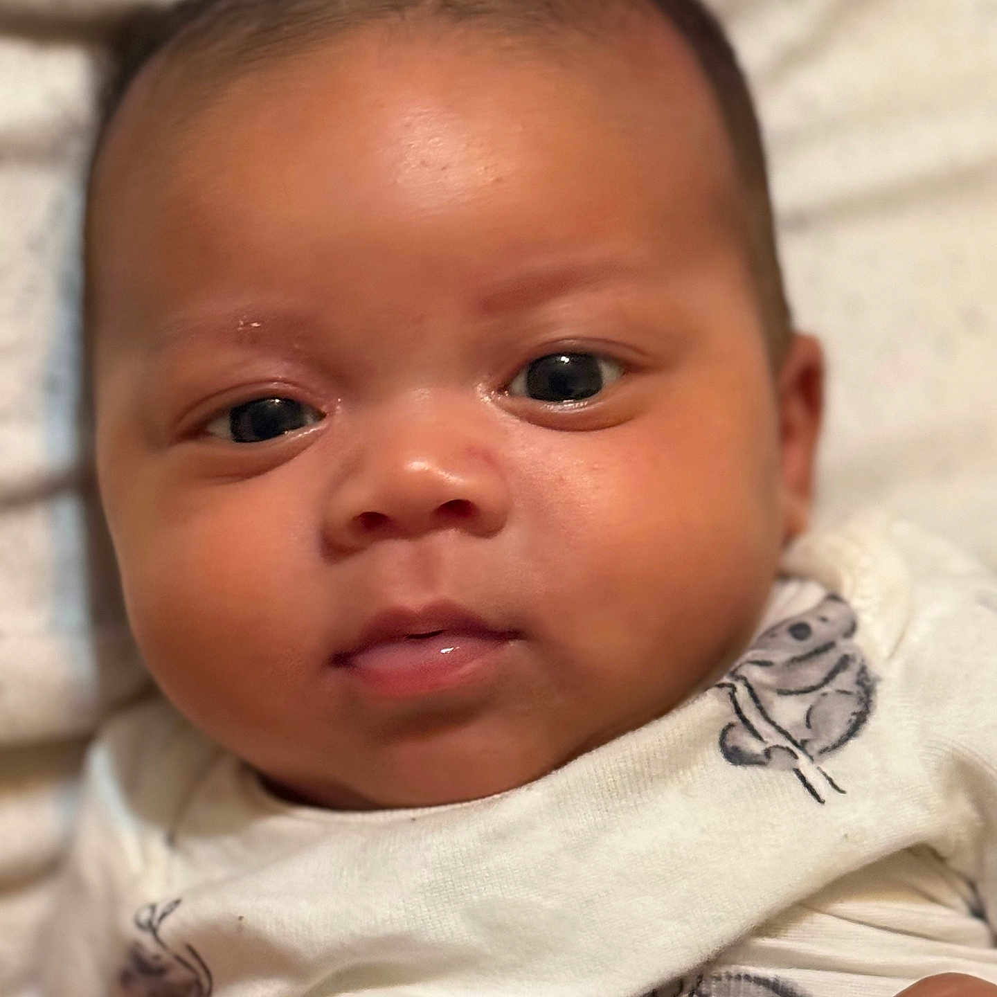 Brayden