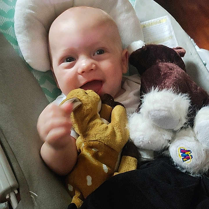 Xavier