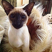 Julius participe au concours pour gagner de l'argent avec cette photo :