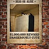 Fuzzy joined the competition — help win amazing prizes! cat, mattress, brick_wall, wanted_poster, text_overlay, indoor, furniture, cute, reward, humor, animal, pet, relaxing, vintage, wall, advertisement, sign, resting, cozy, dangerously_cute