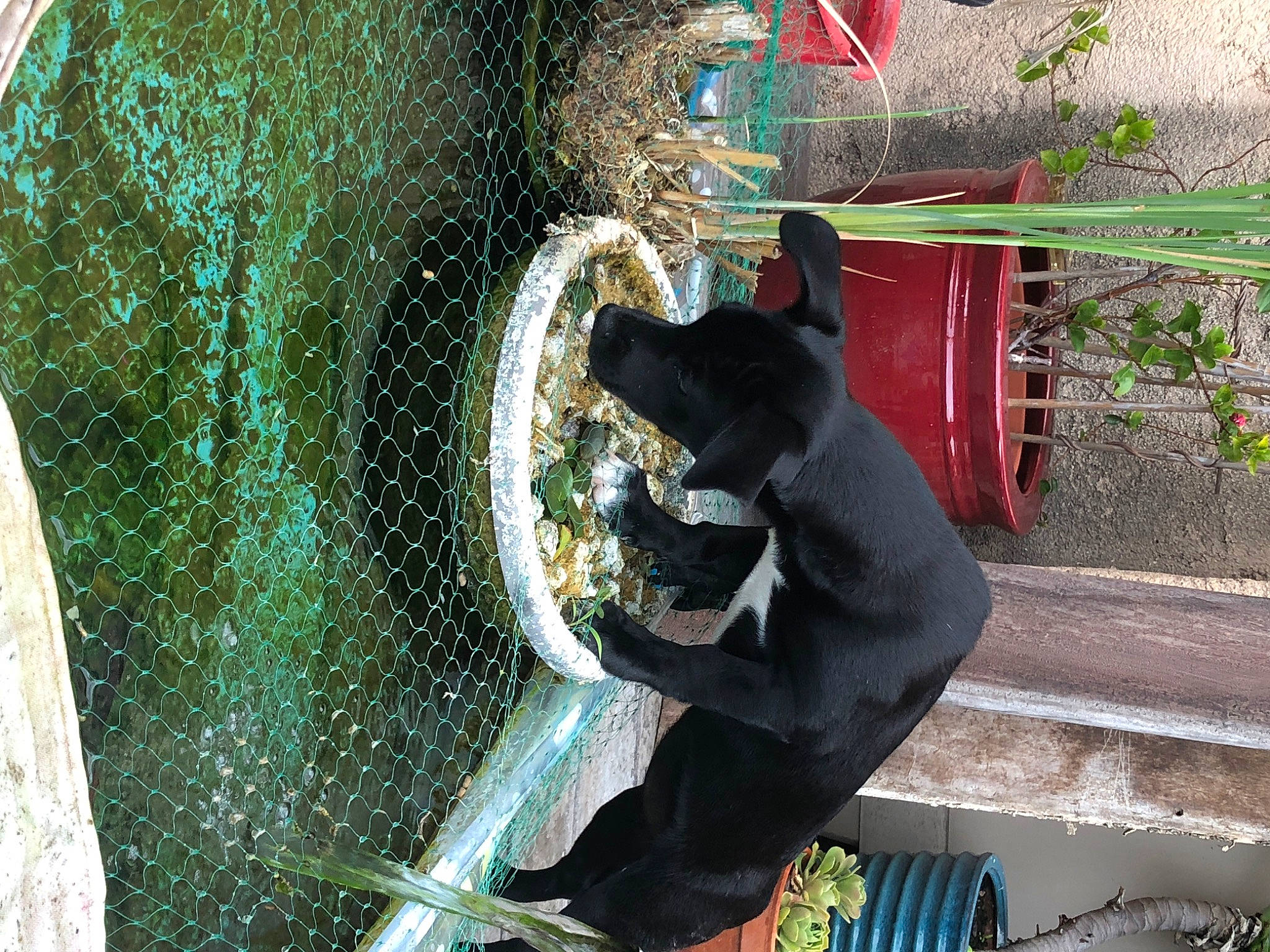 Kawa participe au concours pour gagner de l'argent avec cette photo : organism