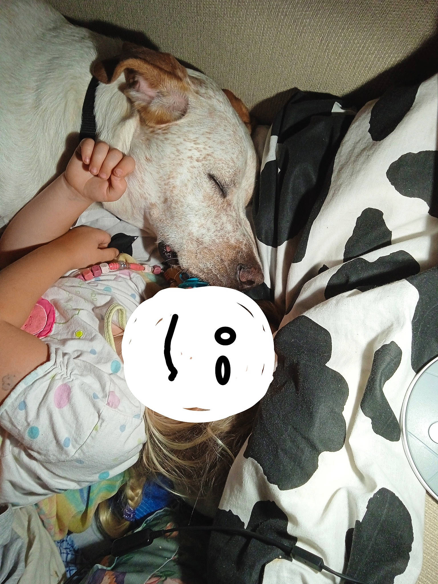 Sire participe au concours pour gagner de l'argent avec cette photo : baby_products, child, comfort, companion_dog, costume, doll, fictional_character, fur, headgear, linens, pattern, plush, room, selfie, stuffed_toy, teddy_bear, textile, toy