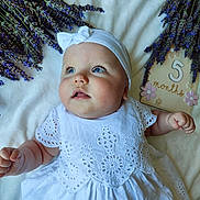 Amélie participe au concours pour gagner de l'argent avec cette photo : baby, infant, white_dress, headband, blue_eyes, lavender, flowers, milestone, plaque, cute, portrait, laying_down, soft_lighting, closeup, chubby_arms, skin, baby_girl, decor, celebration, happy