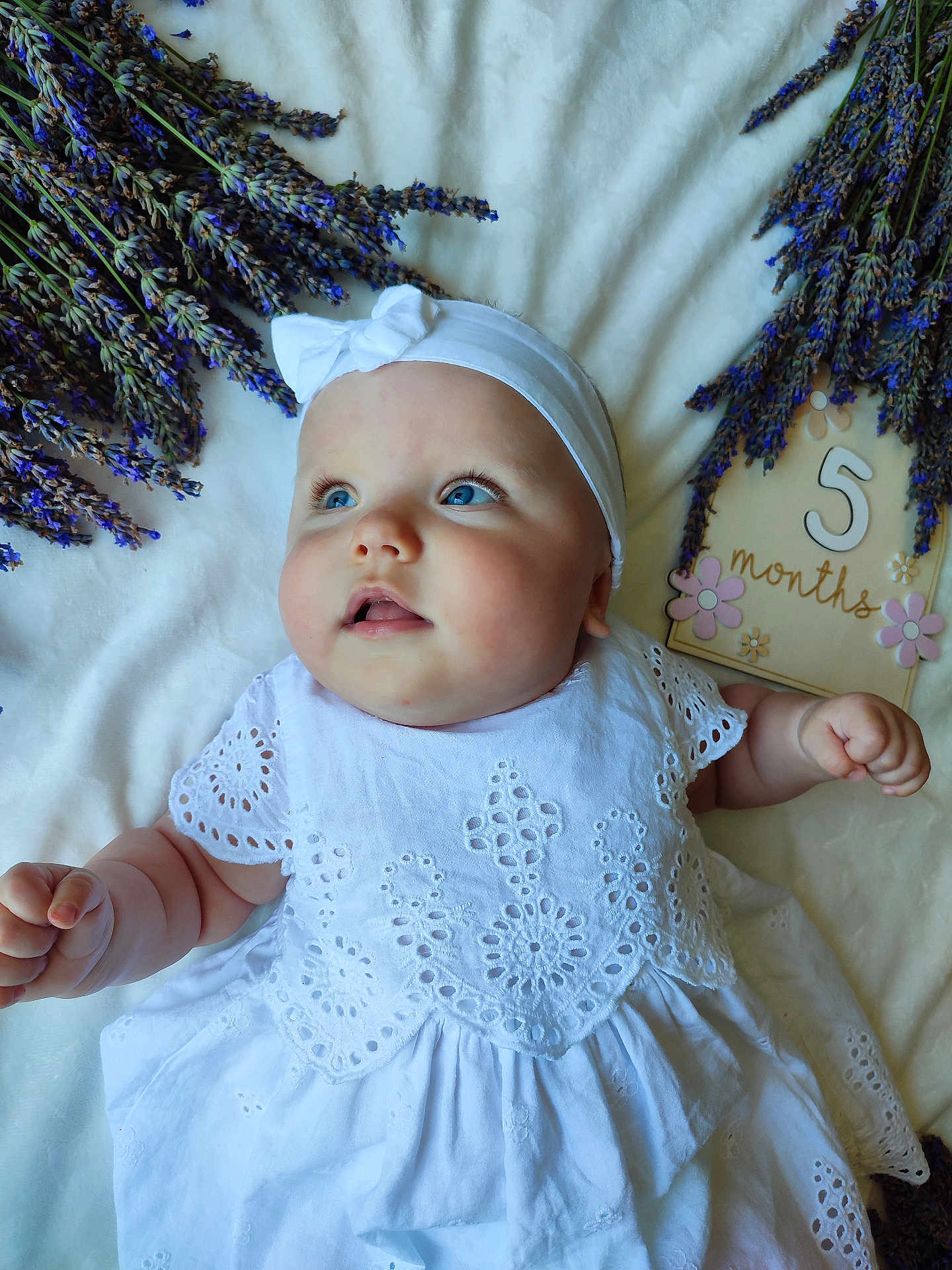Amélie participe au concours pour gagner de l'argent avec cette photo : baby, infant, white_dress, headband, blue_eyes, lavender, flowers, milestone, plaque, cute, portrait, laying_down, soft_lighting, closeup, chubby_arms, skin, baby_girl, decor, celebration, happy