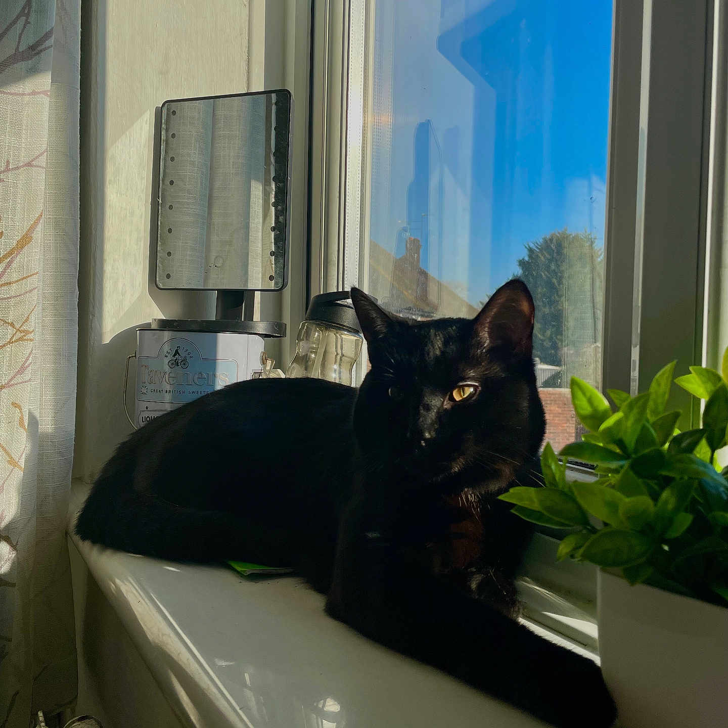 Loki