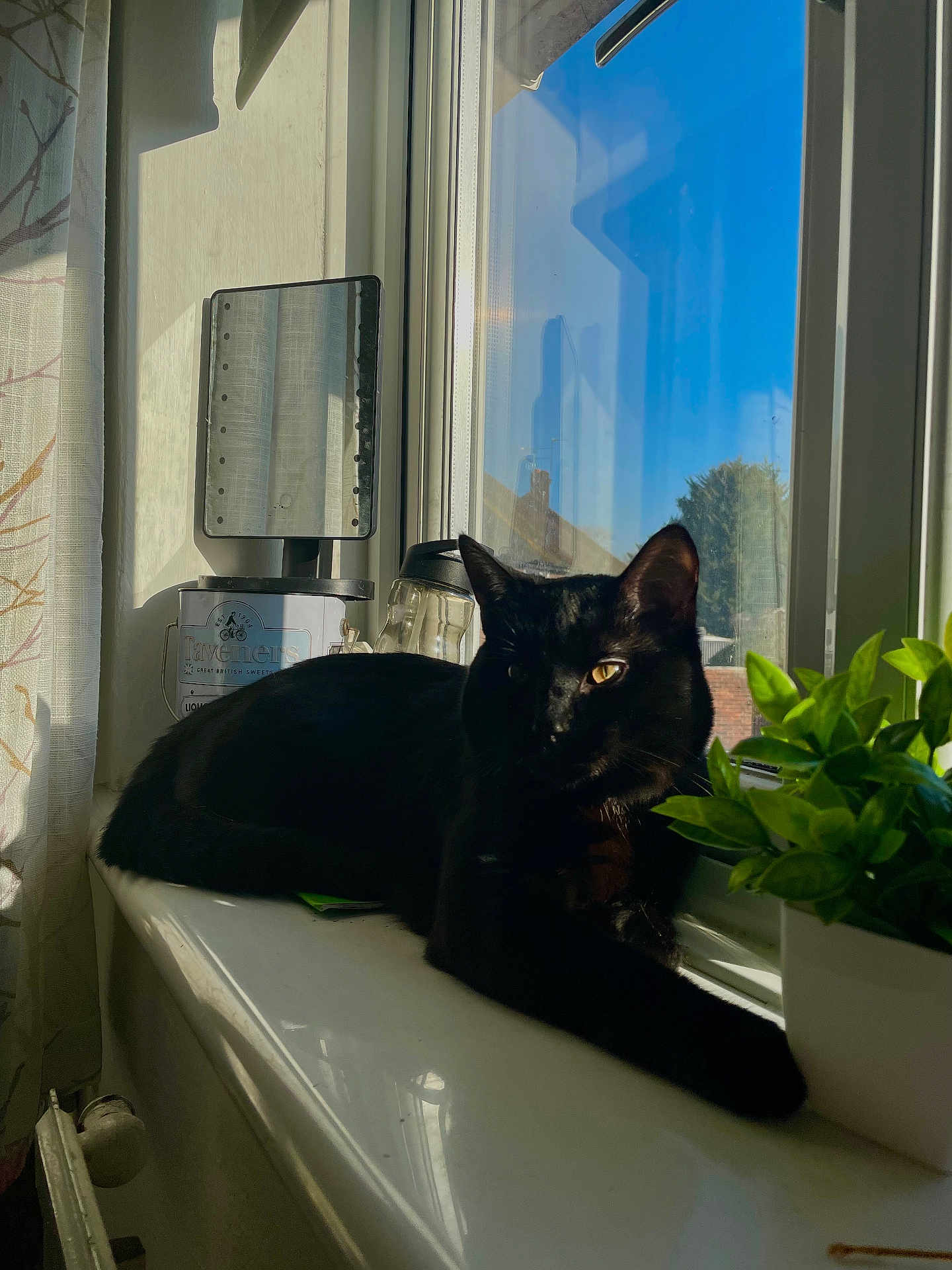 Loki