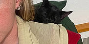 Loki joined the competition — help win amazing prizes! accessories, adult, animal, blackcat, cat, couch, cushion, earring, face, female, furniture, head, jewelry, kitten, necklace, person, pet, photography, portrait, woman