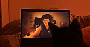 Sonic participe au concours pour gagner de l'argent avec cette photo : cat, pet, black_cat, laptop, computer, screen, movie, bed, bedroom, warm_lighting, orange_tone, silhouette, sitting, indoor, home, blanket, relaxing, text_overlay, vibes, nighttime