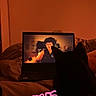cat, pet, black_cat, laptop, computer, screen, movie, bed, bedroom, warm_lighting, orange_tone, silhouette, sitting, indoor, home, blanket, relaxing, text_overlay, vibes, nighttime