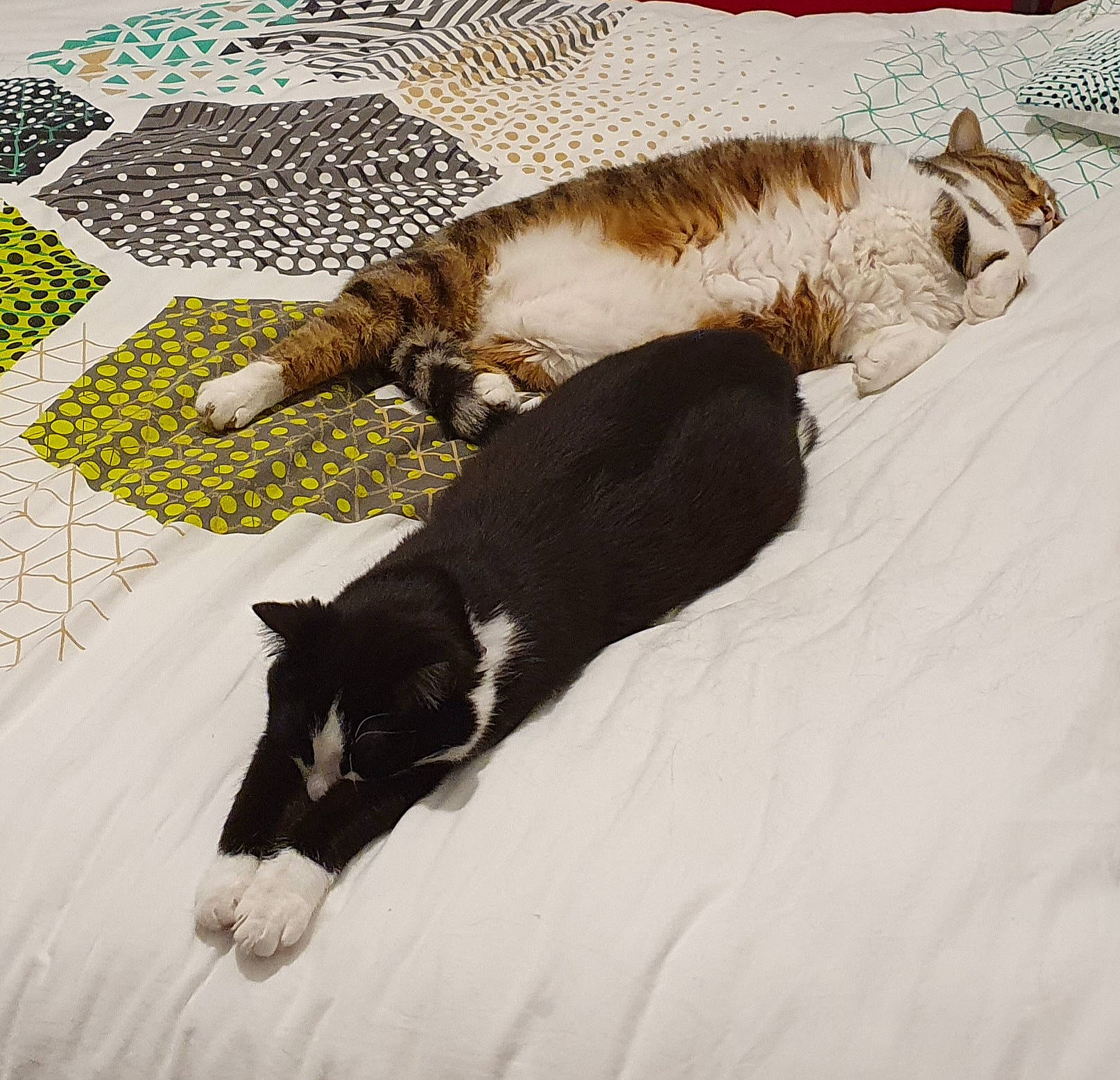 Cerise Et Chaussette