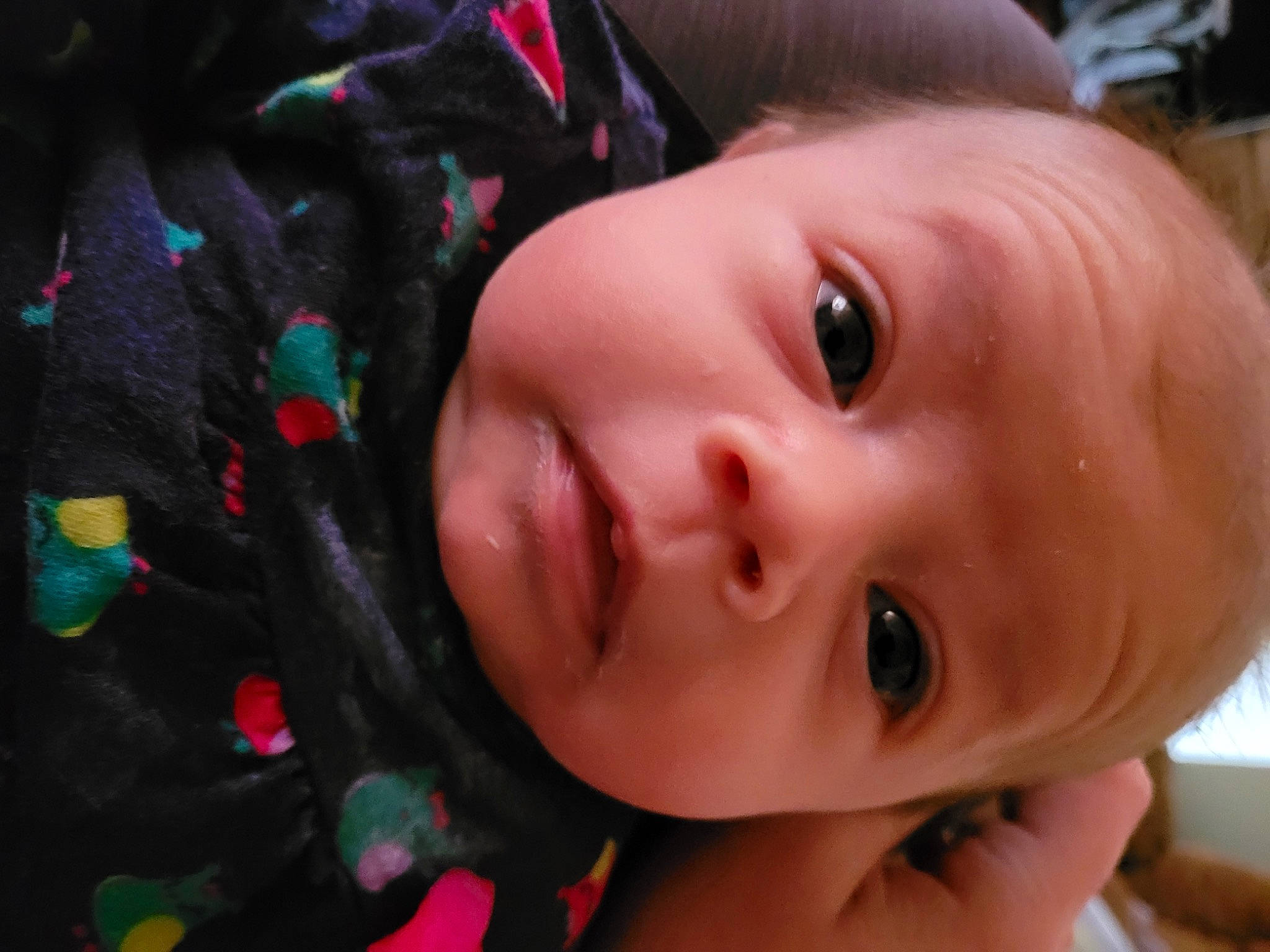 Lana joined the competition — help win amazing prizes! baby, cheek, chin, ear, eye, eyebrow, eyelash, forehead, fun, grass, hairstyle, happy, iris, lip, mouth, nose, person, plant, skin, toddler