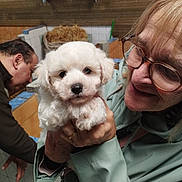 Orso participe au concours pour gagner de l'argent avec cette photo : animal, background, coat, cute, dog, face, fur, glasses, hand, holding, indoor, man, person, pet, portrait, puppy, rustic, smile, tile, woman